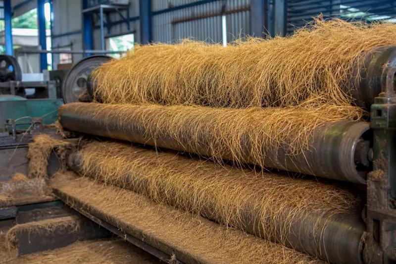 Coir fiber processing production